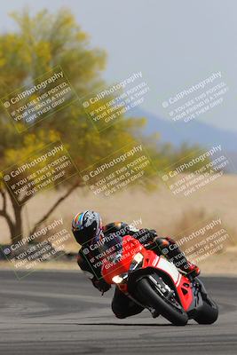 media/Apr-12-2025-Race Pace (Sat) [[9230add55f]]/Vested/6-Turn 4 Tree of Life (115pm)/